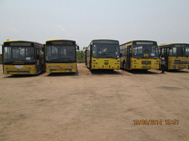 Les bus